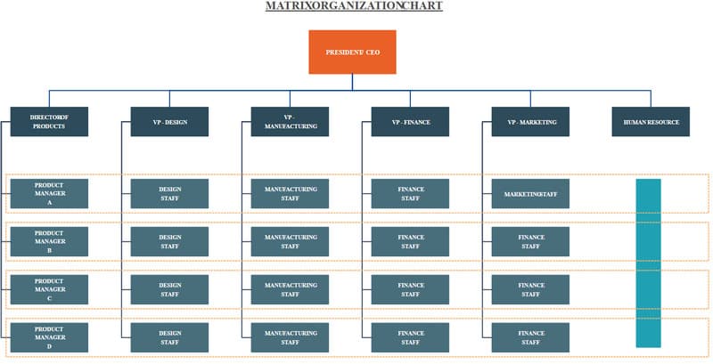 Die 8 Besten Beispiele F r Organigramme Und Wie Man Eines Erstellt 2025 