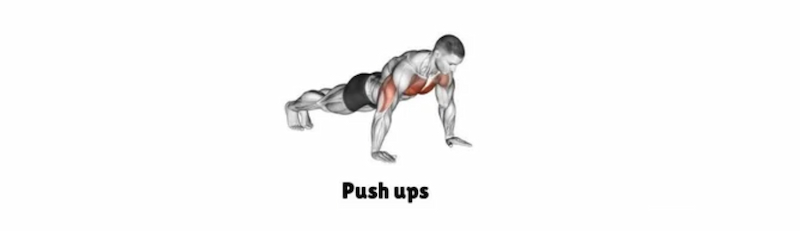 Pushups Calisthenics လေ့ကျင့်ခန်း