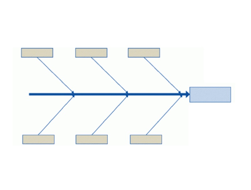 Visgraatdiagram voorbeeld