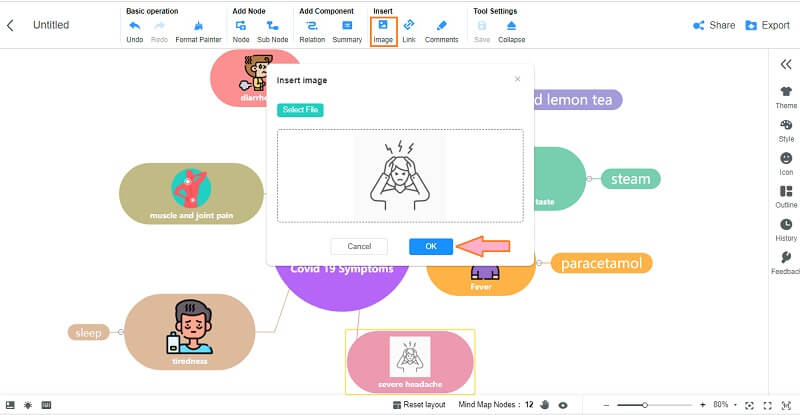 Nursing Concept Map Add Pic