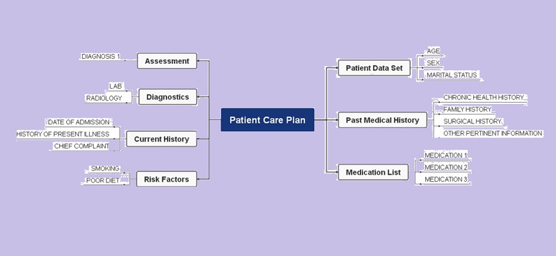 Nursing Concept Map Sample Two