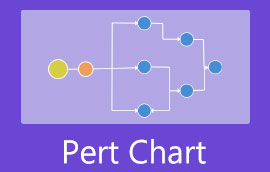 Pert-diagram