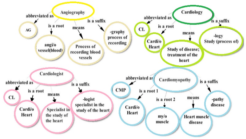 ความหมาย แผนที่ การแพทย์