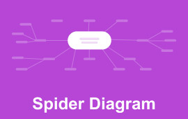 Spinnendiagramm