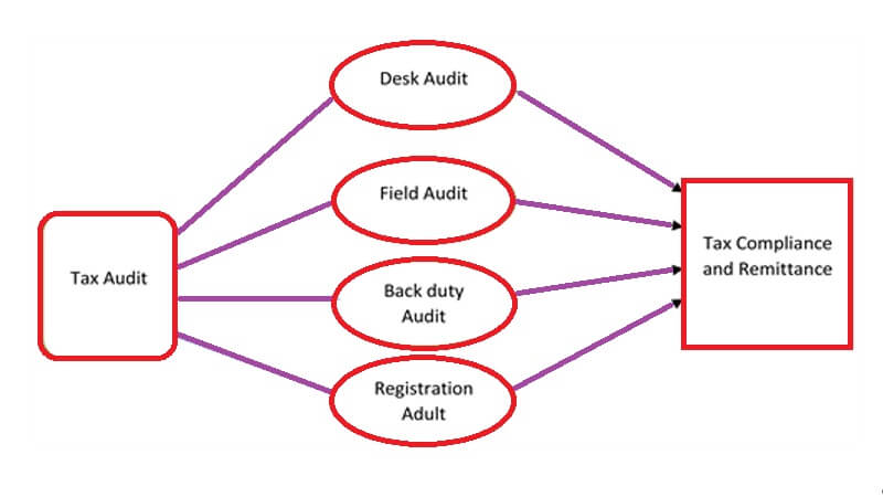 Audit Diagram Tax