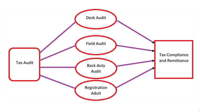 Cukai Gambarajah Audit