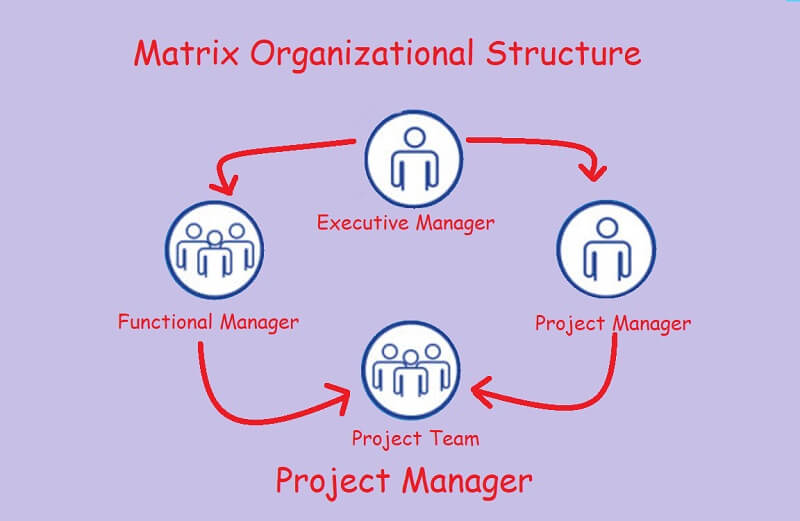 Företag Organisationsdiagram Matrix