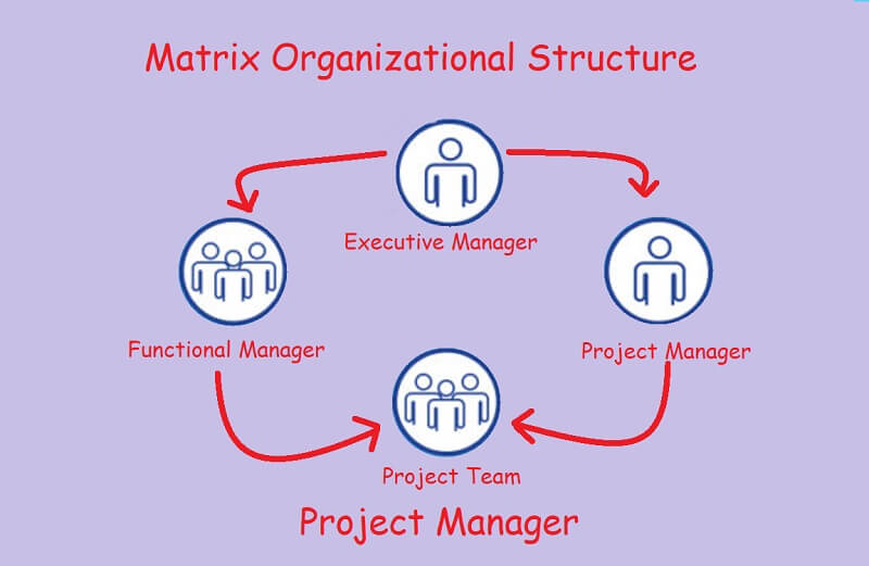 ကုမ္ပဏီ Org Chart Matrix