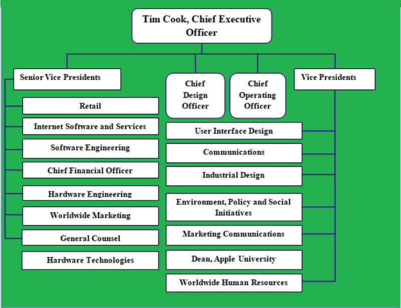 Company Org Chart Vertical