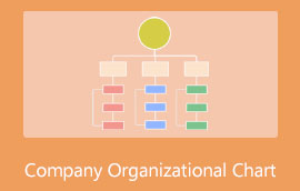 Įmonės organizacinė schema