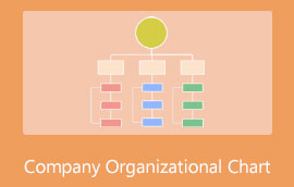 Company Organizational Chart