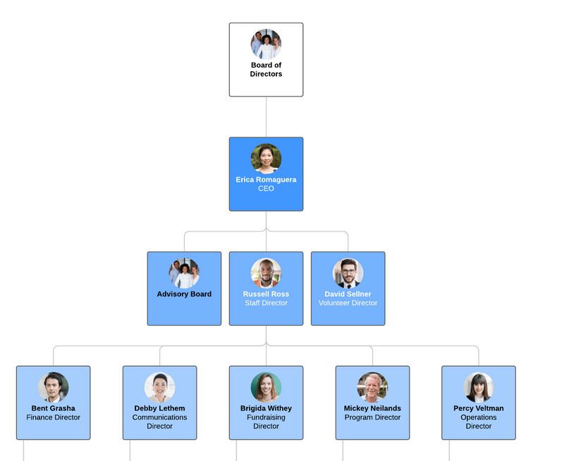 Structura organizatorică ierarhală MindOnMap