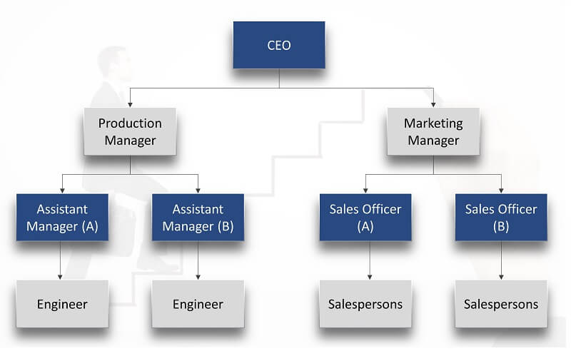 Org Chart MindOnMap Line Təşkilatı