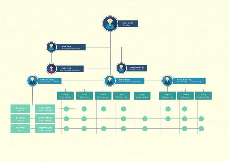 Org Chart MindOnMap Matrix Structure