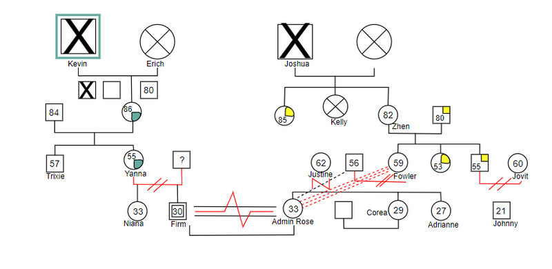 Genogram odnosa