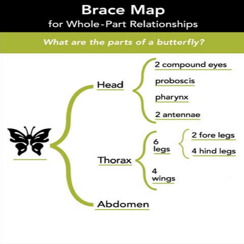 Mąstymo žemėlapis Brace Map