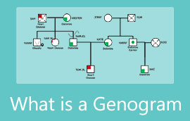 რა არის გენოგრამა