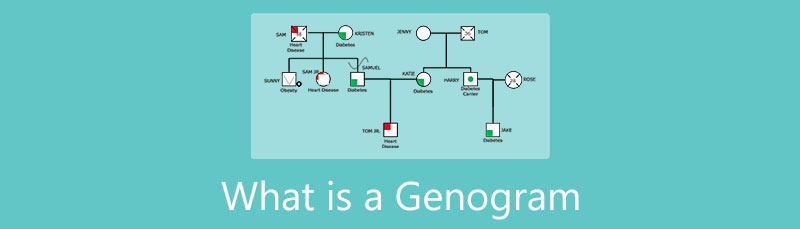 Šta je Genogram