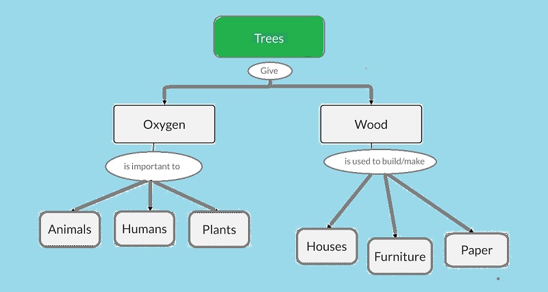 Koncept Map Uzorak Biologije