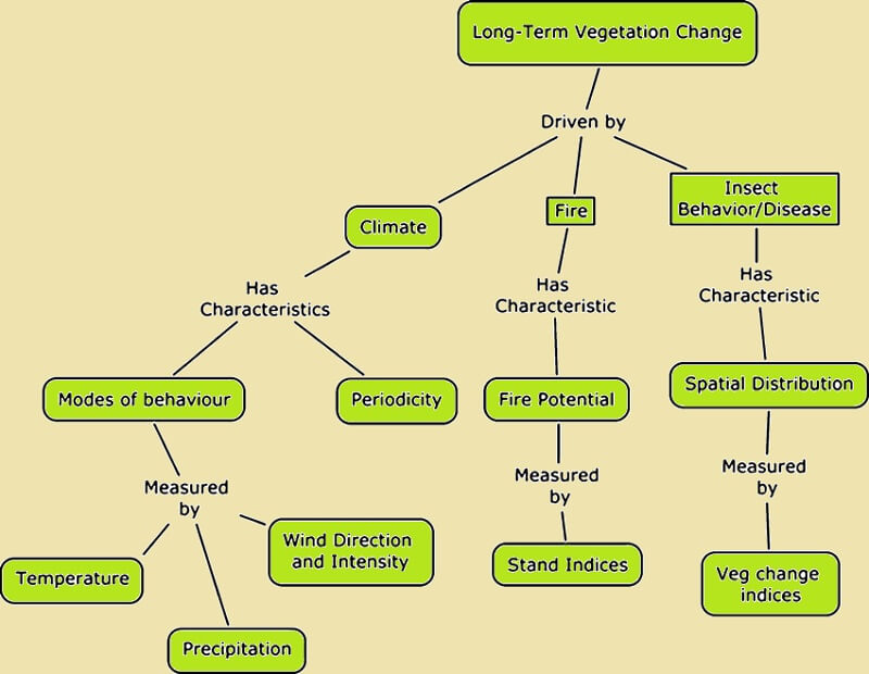 Concept Map Beispielwissenschaft