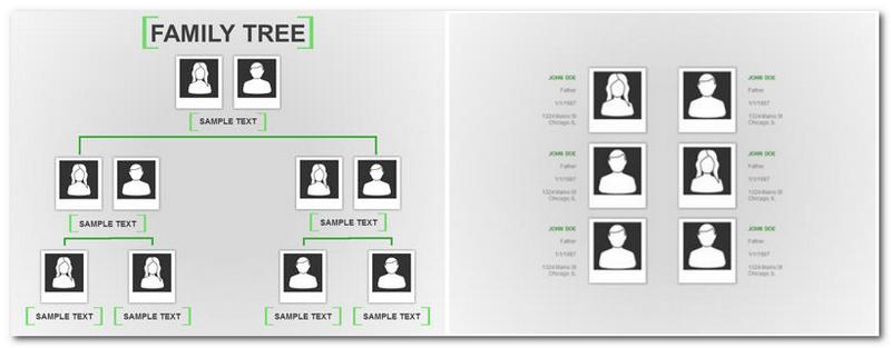 PowerPoint Modelo de Árvore Genealógica