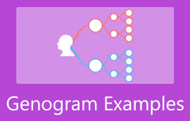 Genogram ဥပမာ