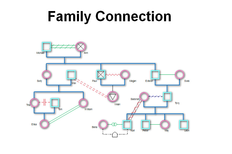 Genogram Family Connection