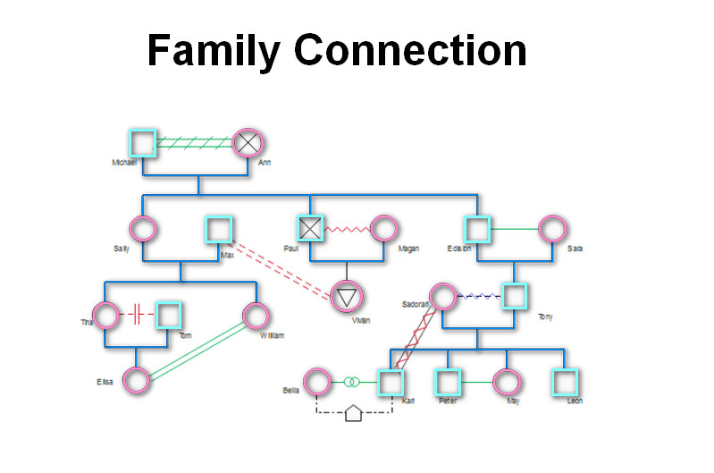 Lidhja Familjare Genogram