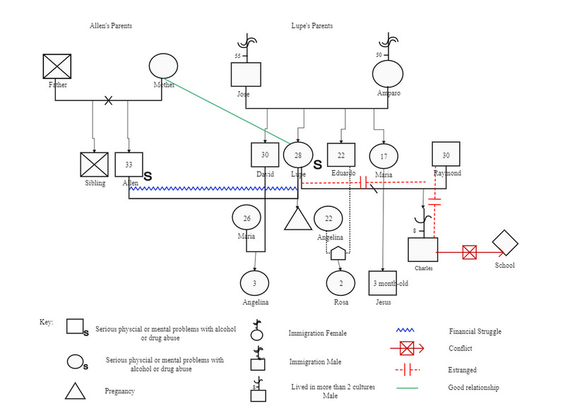 Genogram-perheen sukupolvi