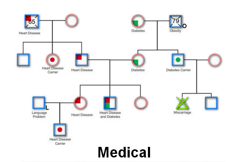 Genogram Medis