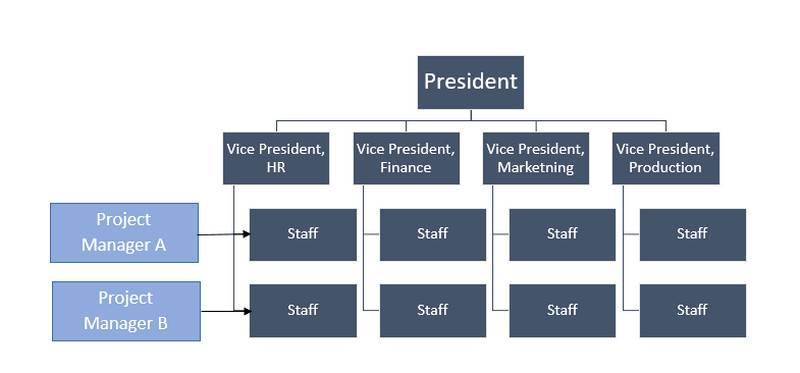 Schemat organizacyjny Matrix