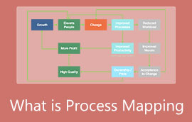 ¿Qué es el mapeo de procesos?