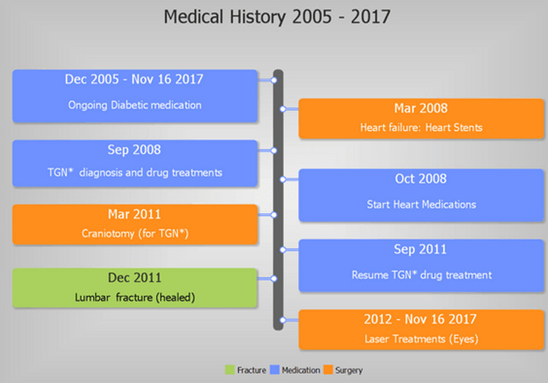 TimelineMakerPro