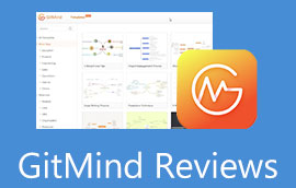 Recenze GitMind