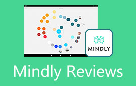 Mindly Review
