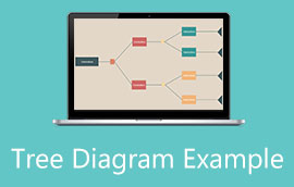 Tree Diagram Example