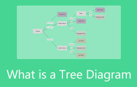 Boomdiagram