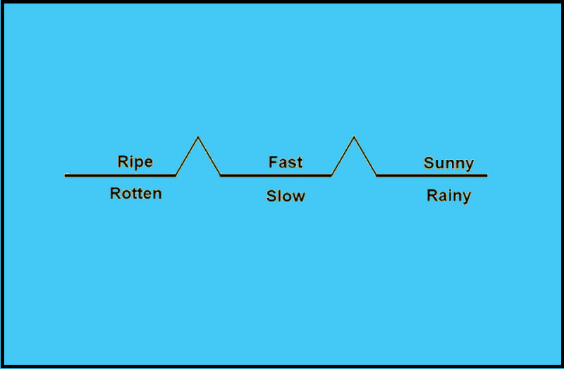 Bridge Map