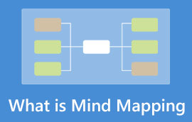 Mind mapping