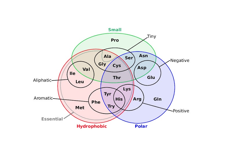 Diagramme de Venn scientifique