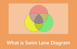 Swim Lane Diagram