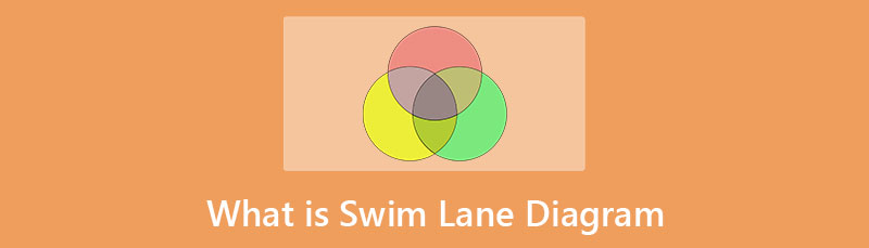 Swim Lane Diagram