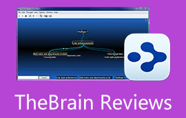 TheBrain Review