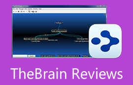 Recenze TheBrain