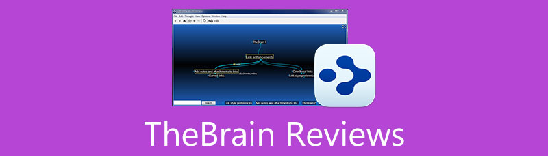 ការពិនិត្យឡើងវិញរបស់ TheBrain