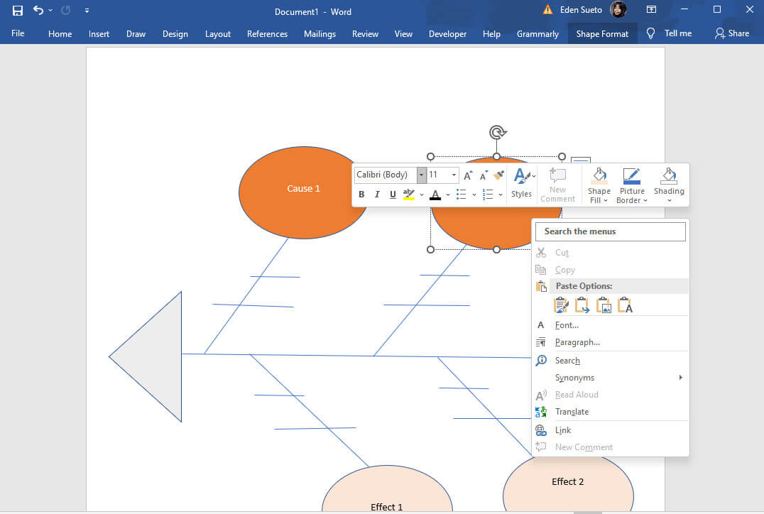 Word Customize Diagram