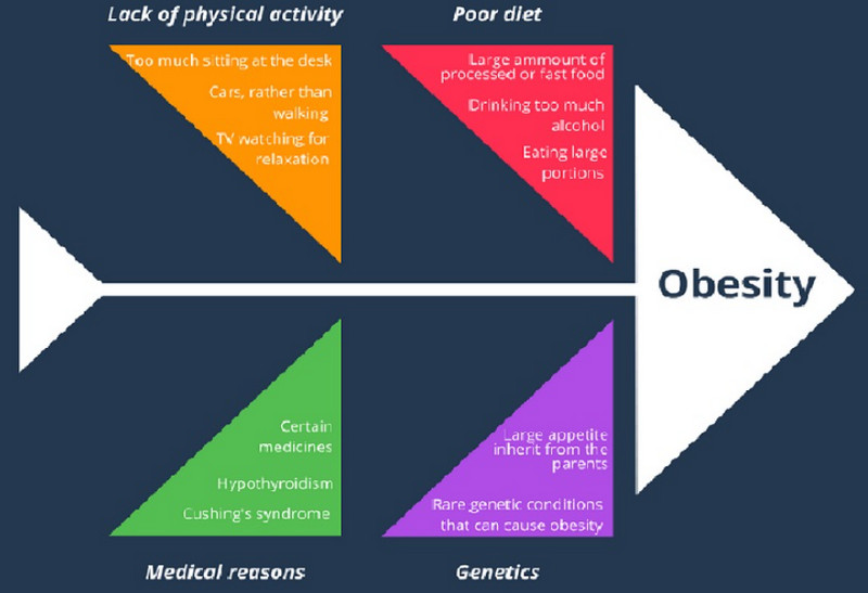 Fishbone Diagram Template Healthcare