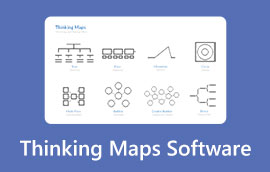 Thinking Maps პროგრამული უზრუნველყოფა