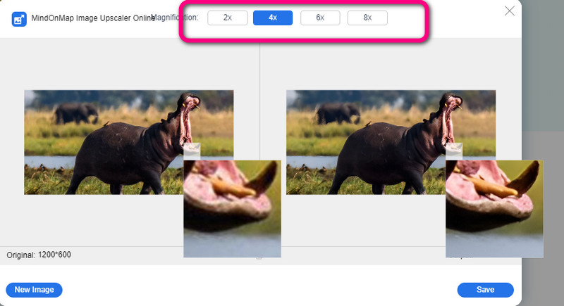మాగ్నిఫికేషన్ ఇమేజ్‌ని అప్‌స్కేల్ చేయండి