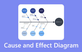Cause and Effect Diagram s